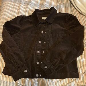 LOFT Brown Button Down Shirt